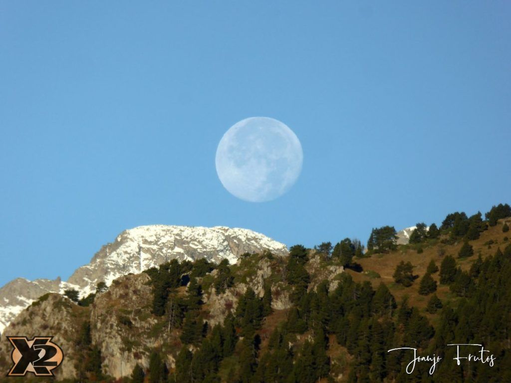 Hojas de otoño con Luna Llena.