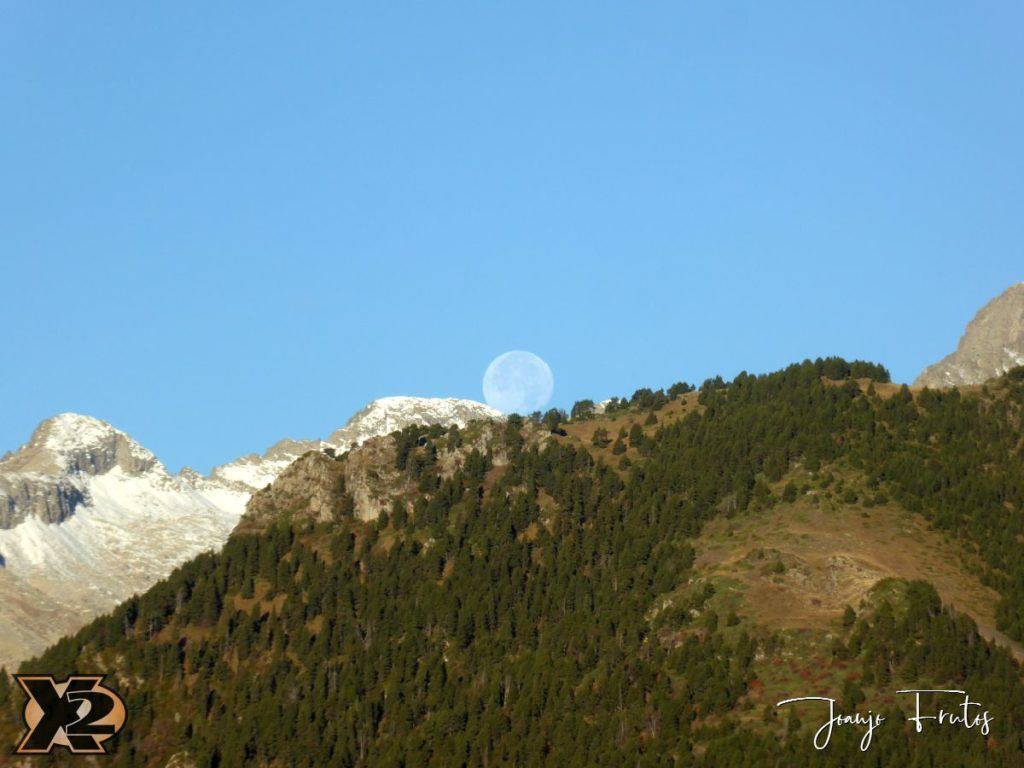 Hojas de otoño con Luna Llena.