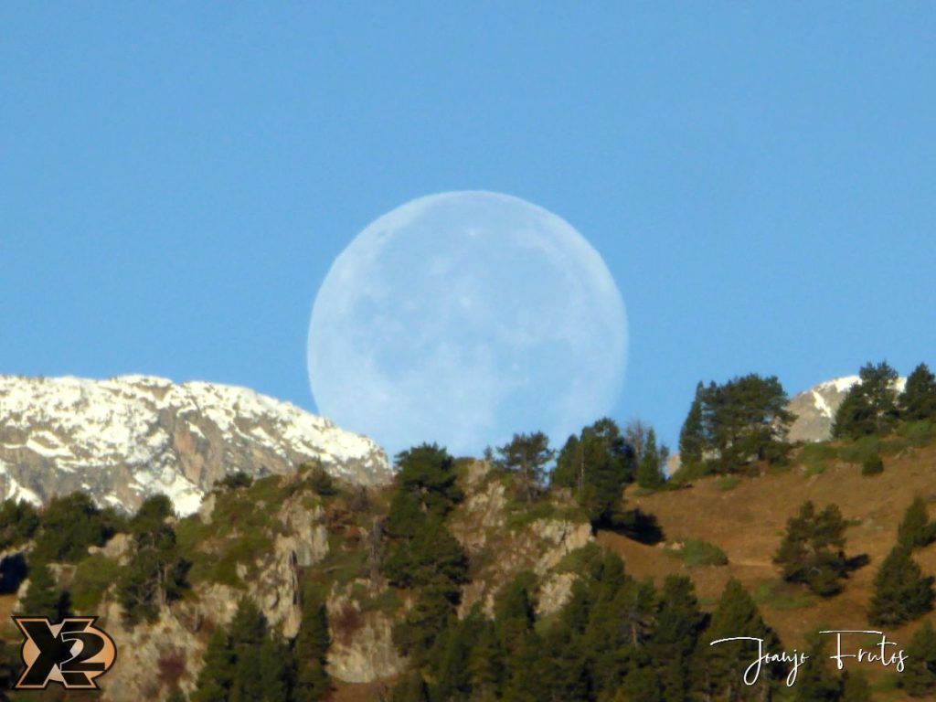 Hojas de otoño con Luna Llena.