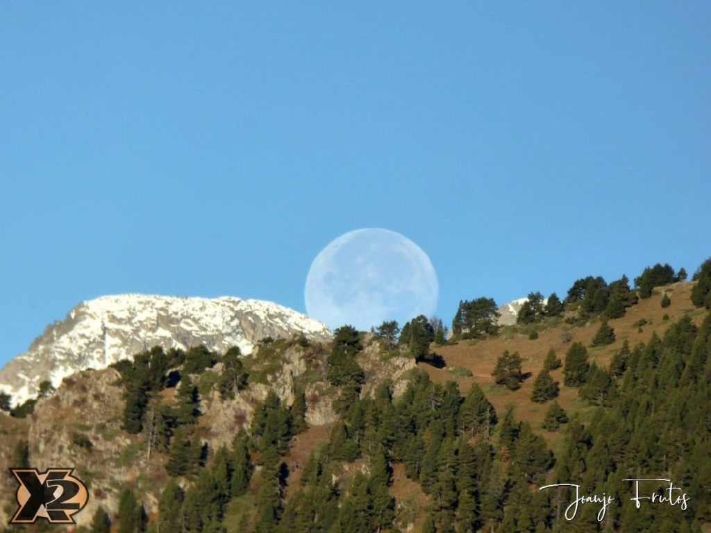 Hojas de otoño con Luna Llena.