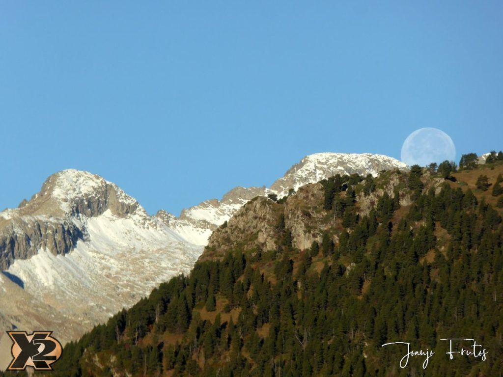 Hojas de otoño con Luna Llena.