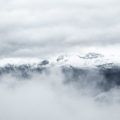 P1380797 1 120x120 - Verbena con picos nevados