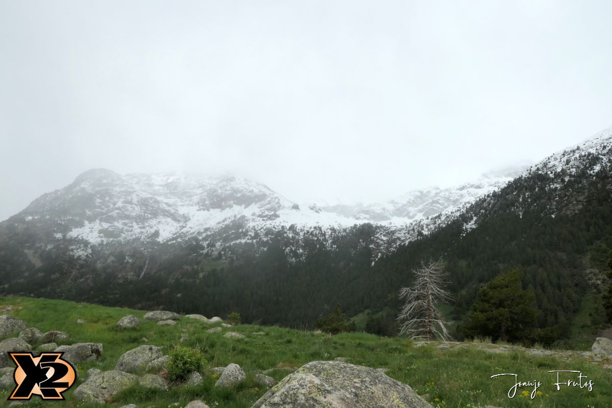 P1023208 - Loca meteo en el Pirineo