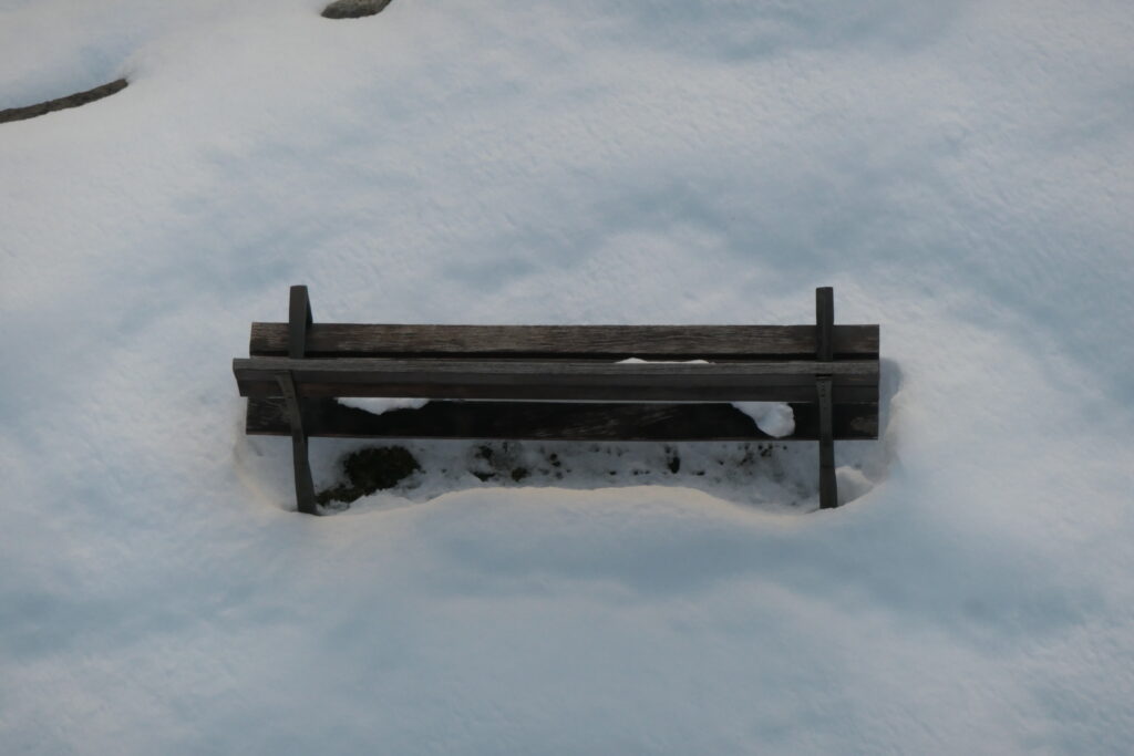 P1080411 1024x683 - Detalles de nieve en Cerler