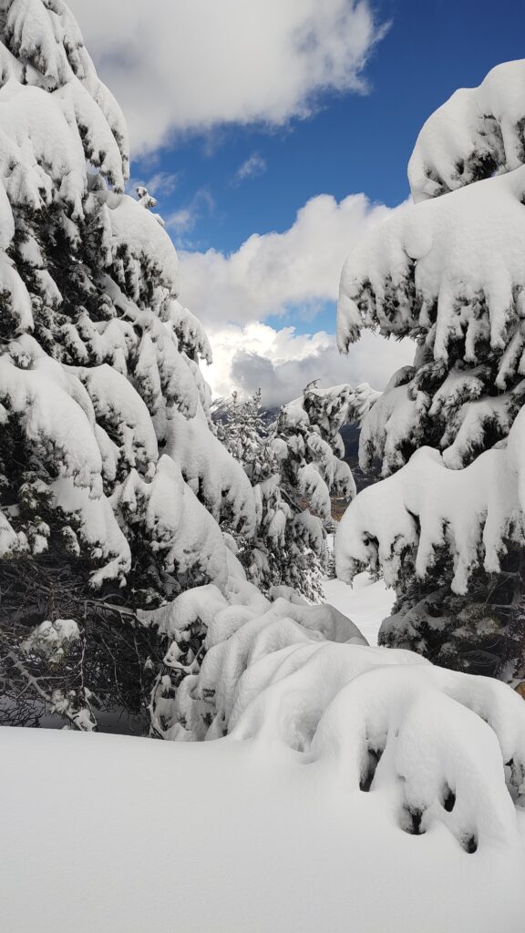 Powder sarllerenco en primavera