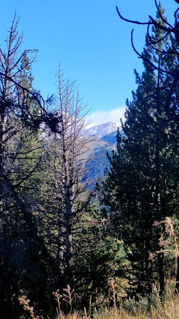 Otoño se inicia con nevadas en el Valle de Benasque y Cerler.