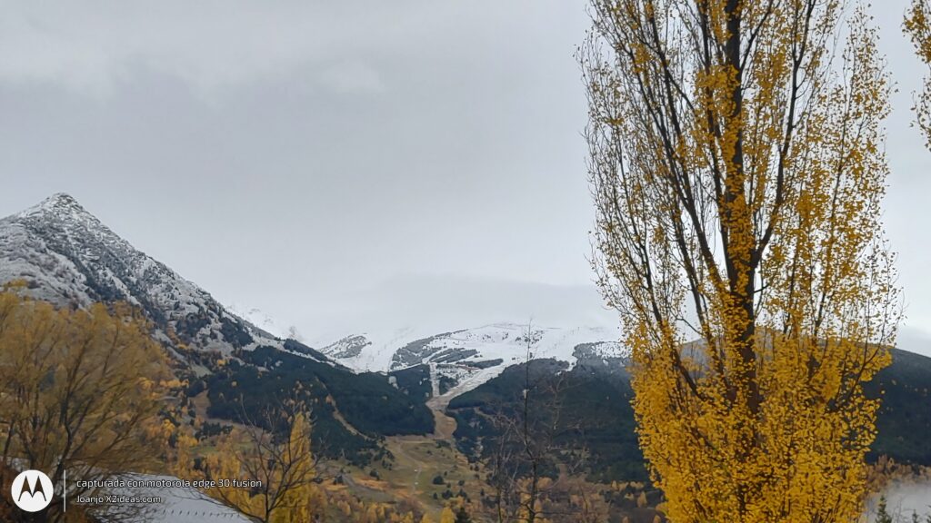 Nevada importante en noviembre