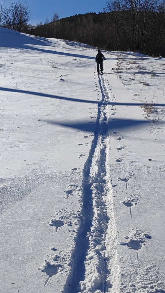 Noviembre skimo por Cerler