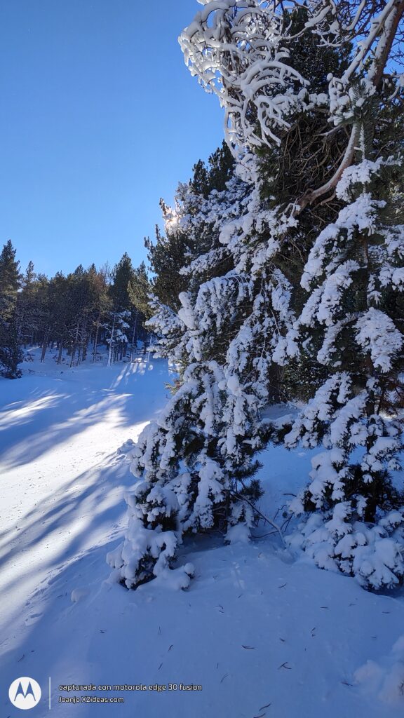 Noviembre skimo por Cerler