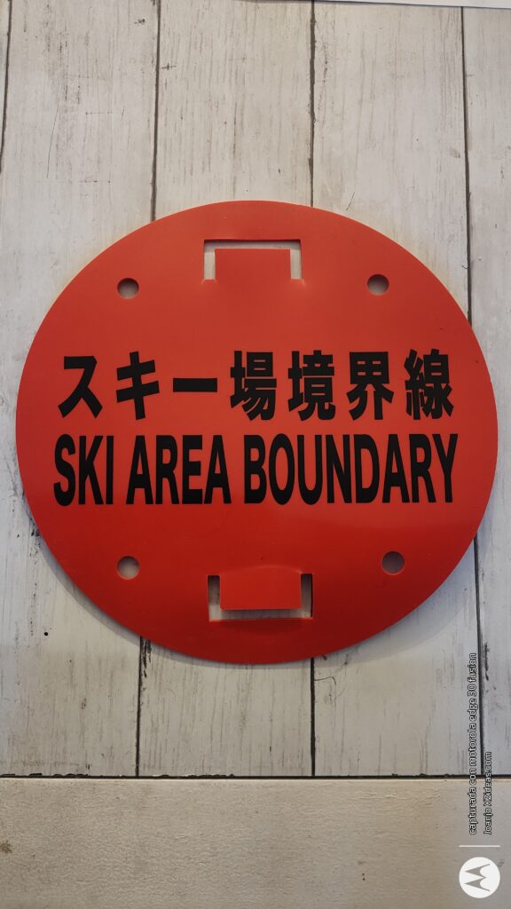 Nos llegó la japonesa