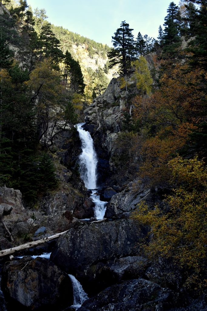 Veroño en Hayedo de Gorges de Alba.
Valle de Benasque.