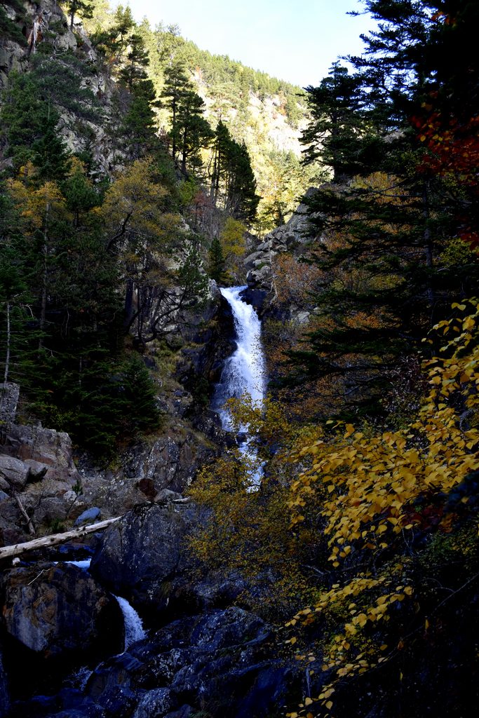 Veroño en Hayedo de Gorges de Alba.
Valle de Benasque.