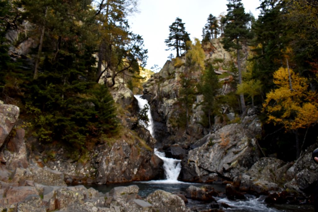 Veroño en Hayedo de Gorges de Alba.
Valle de Benasque.