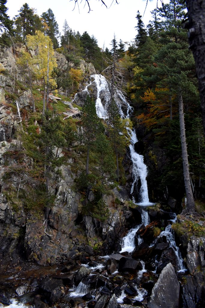 Veroño en Hayedo de Gorges de Alba.
Valle de Benasque.