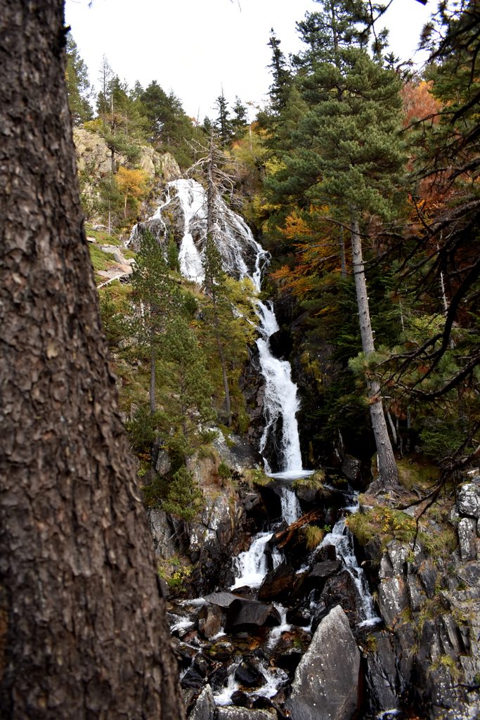 Veroño en Hayedo de Gorges de Alba.
Valle de Benasque.
