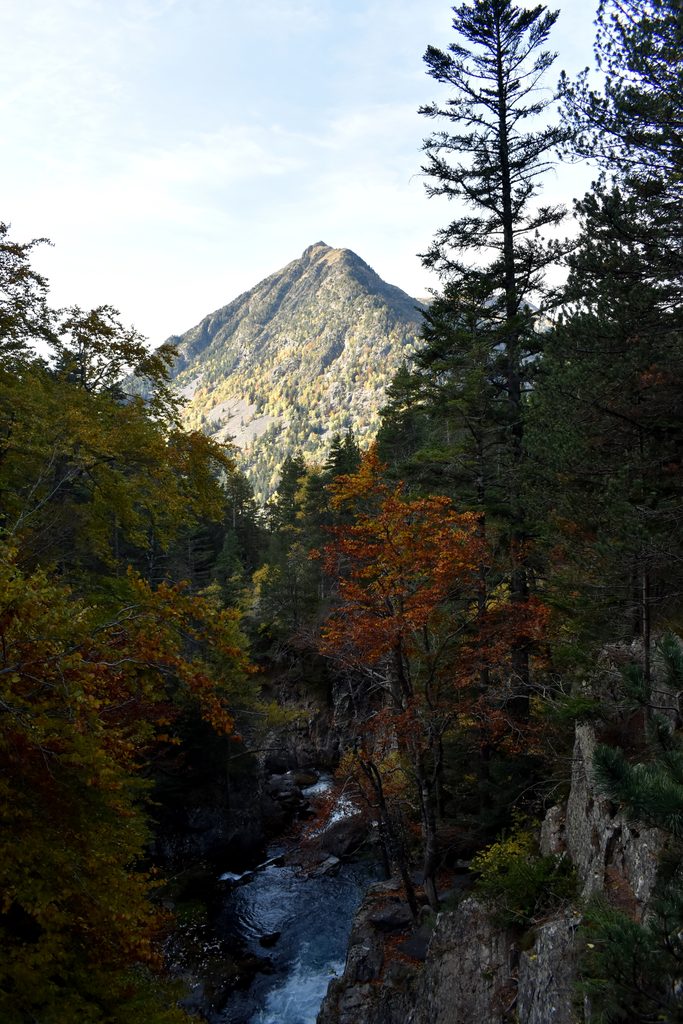 Veroño en Hayedo de Gorges de Alba.
Valle de Benasque.