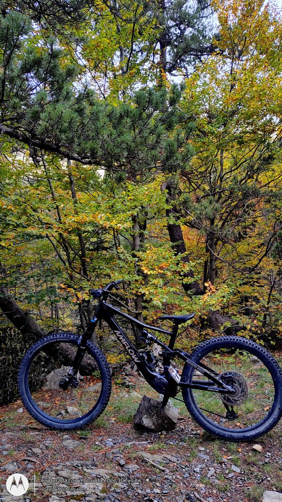Btt Cerler-La Besurta ruta otoñal