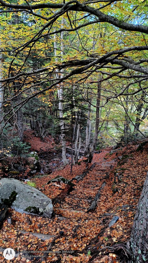 Btt Cerler-La Besurta ruta otoñal