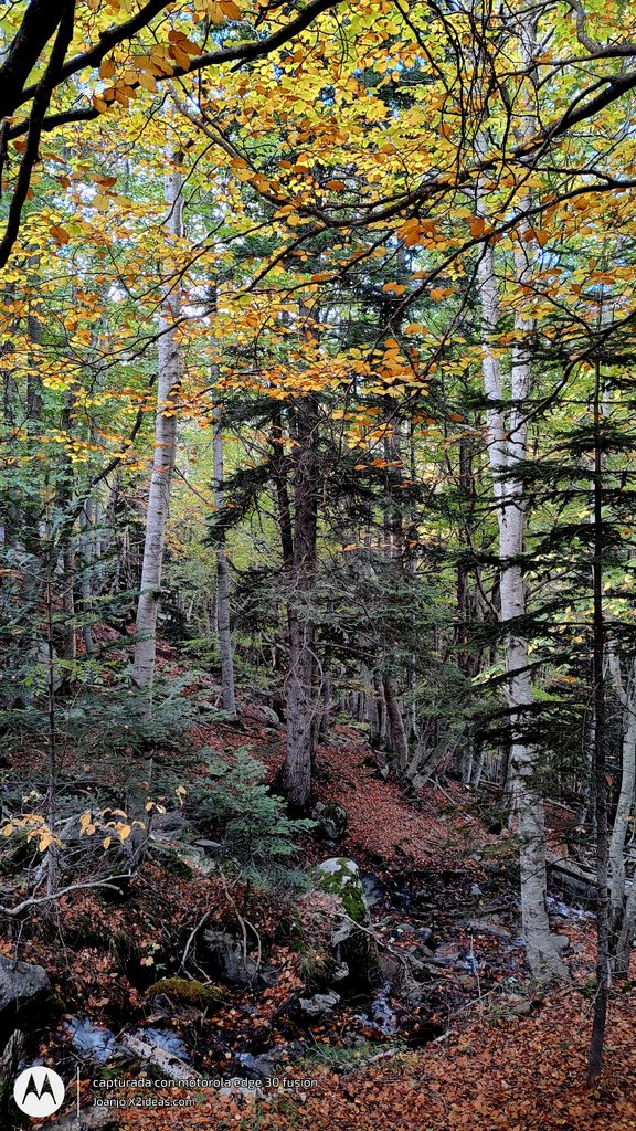 Btt Cerler-La Besurta ruta otoñal