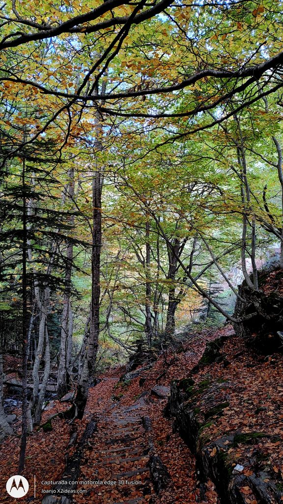 Btt Cerler-La Besurta ruta otoñal