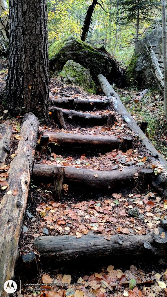 Btt Cerler-La Besurta ruta otoñal