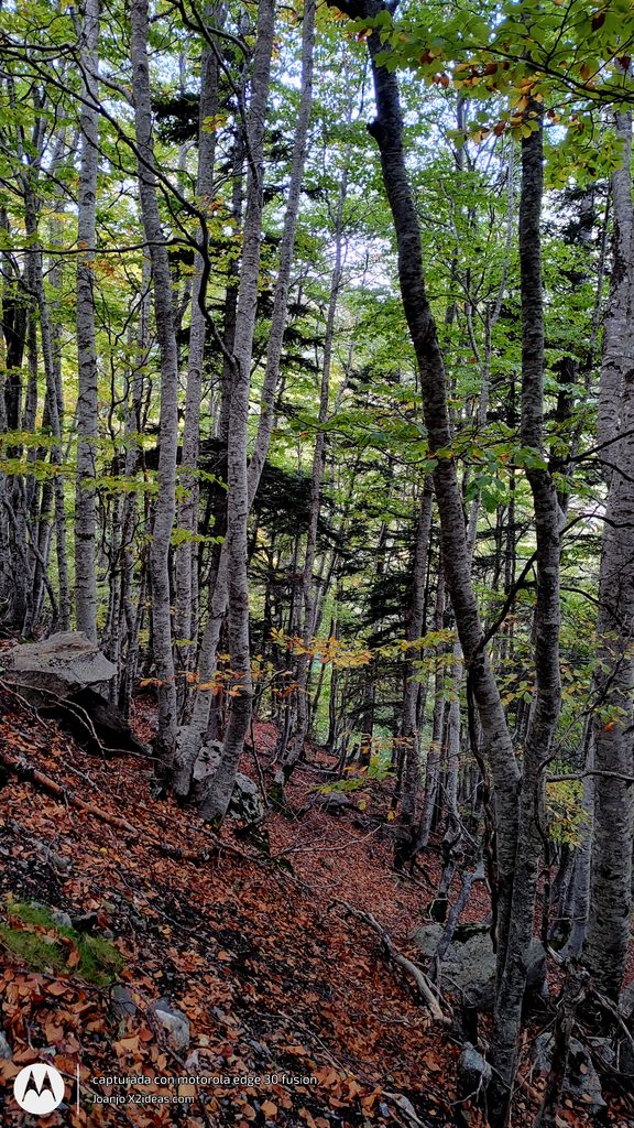 Btt Cerler-La Besurta ruta otoñal