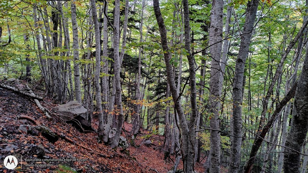 Btt Cerler-La Besurta ruta otoñal