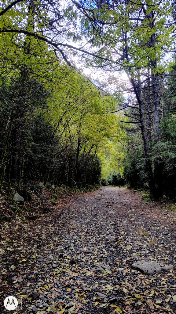 Btt Cerler-La Besurta ruta otoñal