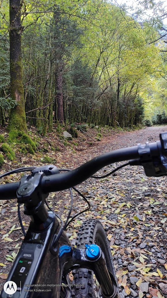Btt Cerler-La Besurta ruta otoñal