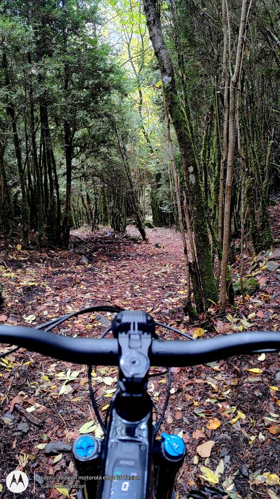 Btt Cerler-La Besurta ruta otoñal