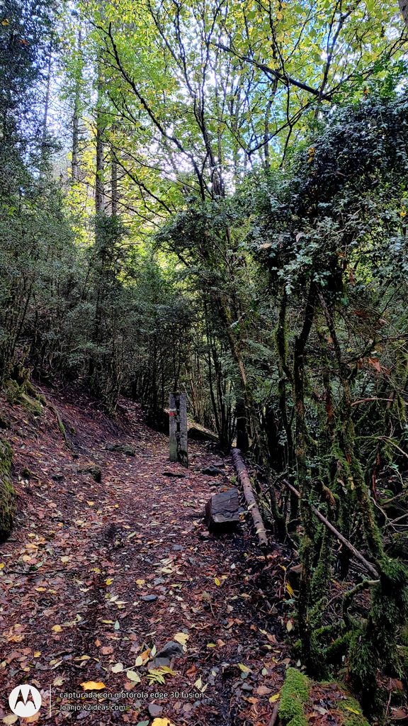 Btt Cerler-La Besurta ruta otoñal